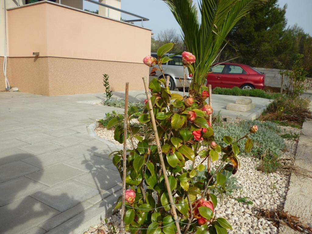 Apartman Branka Starigrad Paklenica Extérieur photo